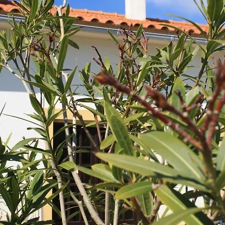 Casa Jardim Peniche São Bernardino